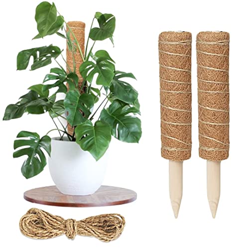 Moss Pole for Plants Monstera Coco Coir Moss Pole Stakes for Indoor