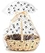CakeSupplyShop Exclusive Item#20577 -5pack Dog Paw Cat Paw Animal Paw Print Large (25inchx 30inch) Cello/cellophane Bags Gift Basket Packaging Bags