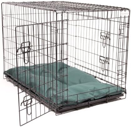 best dog food for fussy eaters uk