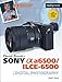 David Busch's Sony Alpha a6500/ILCE-6500 Guide to Digital Photography (The David Busch Camera Guide Series) primary