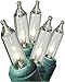 GE String A Long High Quality 100 Count Indoor/Outdoor Mini Clear White Holiday Lights Set on Green Wire (2 Pack)