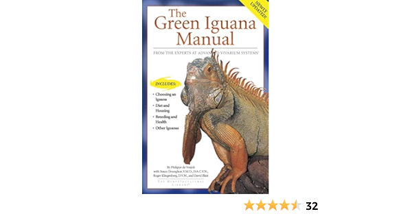 baby green iguana for sale uk