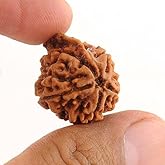Lab Certified Original Ganesh Rudraksha Bead - Trunk Like Elevation as is seen on The face of Lord Ganesha 100% Original & Certified Ganesh Rudraksha Beads Hindu Protection