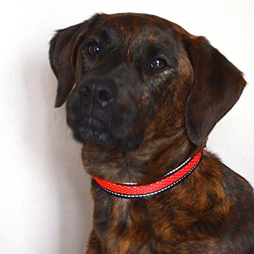 Green Jaguar Mesh Led Light Dog Collar Rechargeable (Medium, Red)