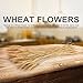 Pumpumly 100x Dry Grass Bouquet Decoration Wedding flower bouquet wedding High simulation-2 bunch,dry wheat,Wheat Bundle,stalk,Naturally Dried flowers for Home Party Decorations