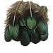 Sowder 50pcs Green Pheasant Plumage Feathers 1.5-3 Inches Home Wedding Decoration