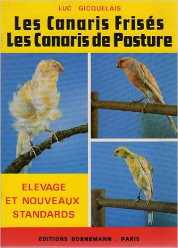 Les Canaris Frises Et Les Canaris De Posture Leur élevage