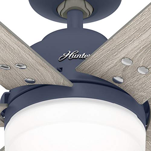 Hunter Fan Company 51206 Pacer Ceiling