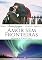Livro Amor sem Fronteiras