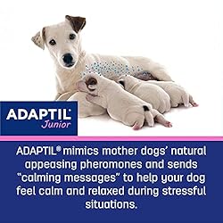 Adaptil JR. Calm On-The-Go-Collar for Puppies