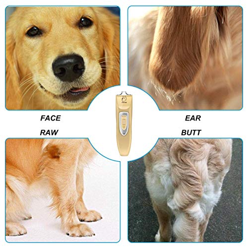 Mifine Professional Dog Clippers Kit Rechargeable - Dog Grooming Clippers and Cordless Pet Clippers Suitable Dogs, Cats and Other Animals, Eyes, Face, Ears, Paw, Around Rump (Gold) - Thumbnail 5