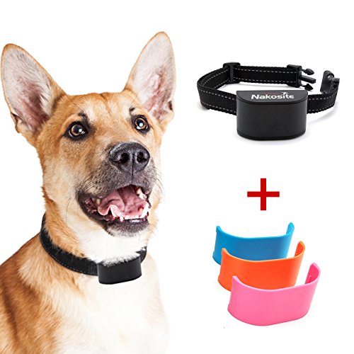 the best anti bark collar