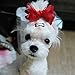 yagopet 20pcs/Pack Puppy Cat Dog Hair Bows with Clips 1