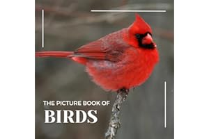 The Photograph Of Birds: A Beautiful Picture Book for Seniors With Alzheimer’s or Dementia. A Perfect Gift For Bird Lovers! (30 Premium Pictures With Names)
