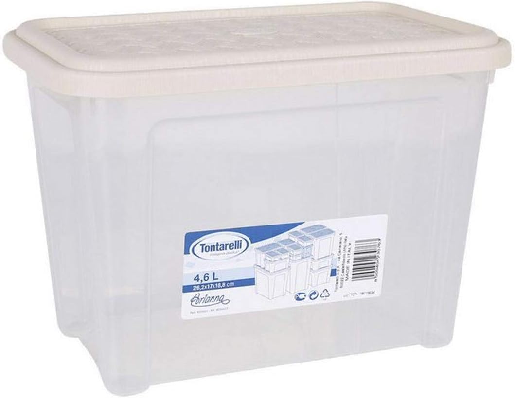 Tontarelli S2200460 Caja, Multicolor, 26.2 x 17 x 18.8 cm: Amazon.es: Hogar