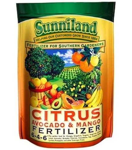 その他 street no.233 234 235 236 237 271 FRUiTS 180s.jpg