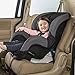 Evenflo SureRide DLX Convertible Car Seat, Paxton