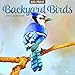 2017 Backyard Birds Wall Calendar