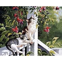 ABEUTY DIY Paint by Numbers for Adults Beginner - Two Cats in The Garden 16x20 inches Number Painting Anti Stress Toys (No Frame)