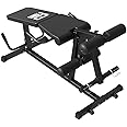 Leg Extension and Leg Curl Machine,Seated Leg Extension and Lying Curl Machine for Home Gym,Leg Press Bench Fit for Both 1'' and 2'' Weight Plates