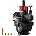 NIBBI Carburetor PE26,26mm Carburetor fit 200cc Motorcycle Engine with Carb Jets - For Dirt Pit Bike Mini Bike Motocross GY6