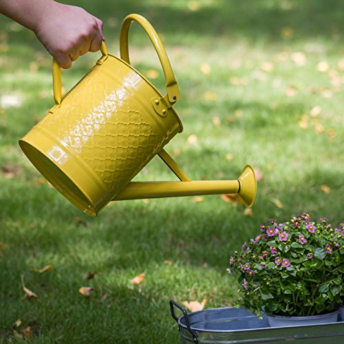 HORTICAN 1 Gal Galvanized Steel Watering Can Decorative Farmhouse Style Watering Can, Removable