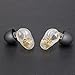 Brainwavz B200 Dual Armature Driver High Fidelity Audiophile in-Ear Headphones