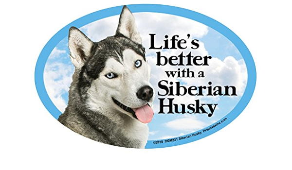 Diseño de perro Husky siberiano de - la vida es mejor ...