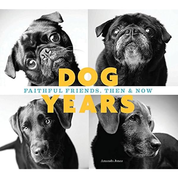 30 years in dog years