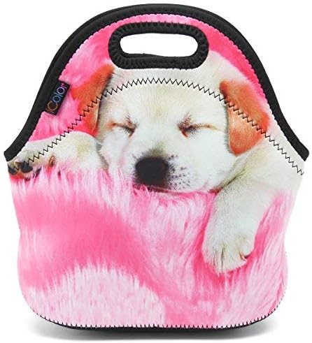 ICOLOR Happy Pug Insulated Neoprene Lunch Bag, Waterproof Food Storage Carrying Case, Boys Girls School Office Work Lunch Tote Bag Cooler, Kids Adults Travel Outdoor Picnic Food Container(HST-LB-054)