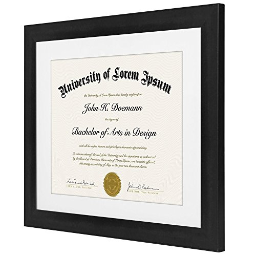 2 Americanflat+11x14+Document+Frame+Documents