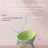 Zayejod Cat Bowls Tilted Raised Two Feeding Bowls Stand 15° Incline view 2