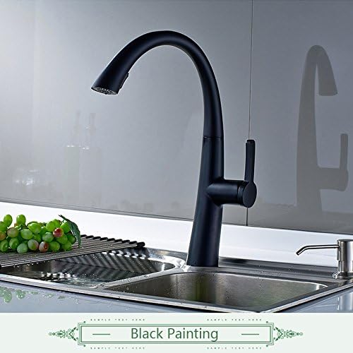 Flg Hot Sale Oil Rubbed Bronze Black Kitchen Faucet Swivel Spout