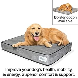 PetFusion Memory Foam Dog Bed. (Dog bed for large dogs CLEARANCE SALE). Limited supply available
