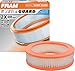 FRAM Extra Guard CA160 Replacement Engine Air Filter for Select American Motors, Checker, Chrysler, Dodge, Fargo, Jeep and Plymouth Models, Provides Up to 12 Months or 12,000 Miles Filter Protection