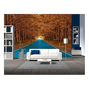 Autumnal Alley - Removable Wall Mural | Self-Adhesive Large Wallpaper - 66x96 inches
