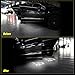 CAR ROVER Car Door LED Logo Projector Lights Welcome Ghost Shadow Courtesy Step Lamp for Dodge Charger Avenger Magnum Series (Pack of 2)