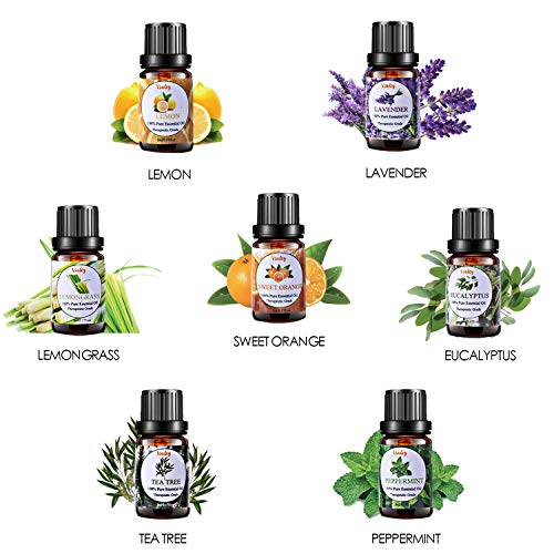 VSADEY Essential Oils Set 100% Pure Aromatherapy Essential Oil Kit for Diffuser, Humidifier, Massage, Skin Care - Lavender, Eucalyptus, Peppermint, Tea Tree, Sweet Orange, Lemongrass (7 x 10ml)