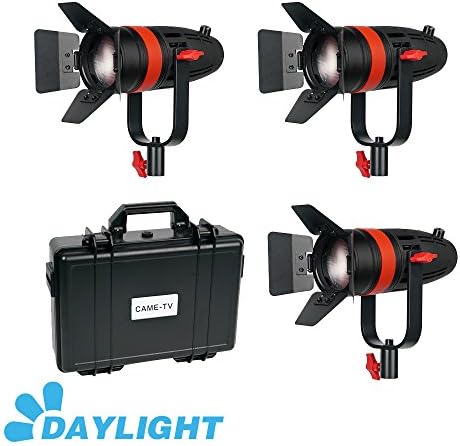 3 Pcs Came-TV Boltzen 55w Fresnel Focusable LED Daylight Kit
