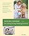 How to Start a Home-Based Pet-Sitting and Dog-Walking Business (Home-Based Business Series)