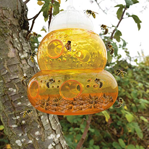 Aspectek 2-Pack Hornets, and Bees (Wasp Trap), 2 Pack, Yellow