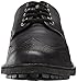 Sebago Men's Metcalf Wing Tip Oxford