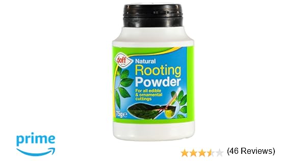 Polvo de hormonas enraizante Doff® (75 g, 2 unidades). Ayuda a las ...