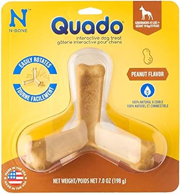 everest pomsky puppies