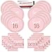 Sweet Sixteen 16 Coming of Age Birthday Party Supplies Bundle Pack for 16 Guests (Plus Party Planning Checklist by Mikes Super Store)9