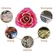 24K Rose Christmas Her, Eternal Love Plated Rose Flower, Best Present for Wife/ Lover / Girlfriend Anniversary, Wedding, Birthday,