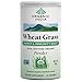 Organic India Wheat Grass Energy & Immunity Boost 100 Gm - With Free Gift Samples and Free Shipping