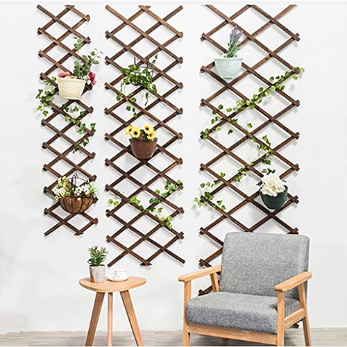 Rankgitter/Multifunktions-Anlage Gitter Klettergerüst/dekorative Gitter/Balkon Rankgitter/Ausziehbare Garten Spalier… – Bild 4