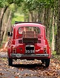 Notebook: Fiat 500 Car Picnic Basket Classic Italy Italian Thermos 8.5