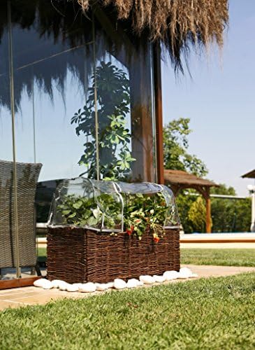 Catral 71080012 - funda invernadero para huerto kit planter 100 x ...